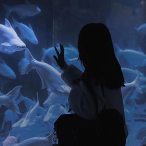 泰国黄色淫秽网站
