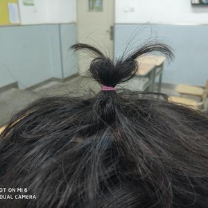 泰国黄色淫秽网站
