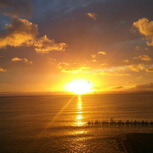 泰国黄色淫秽网站
